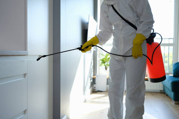 Best Emergency Mold Removal  in Harlem, FL